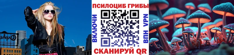 Псилоцибиновые грибы Magic Shrooms  Курлово 